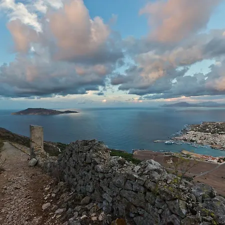 Geco Favignana