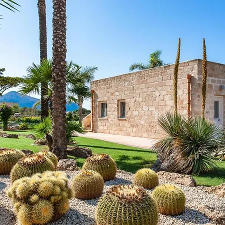 Geco Favignana